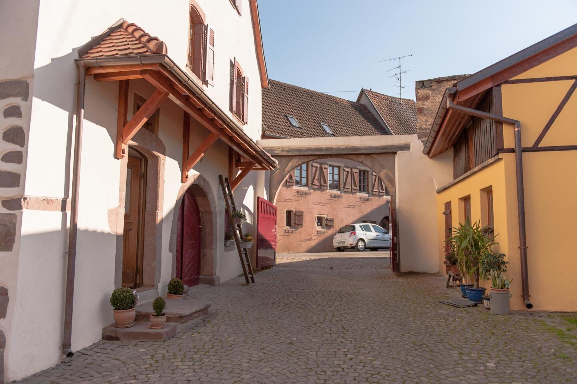 La Maison D'Emilie Pfaffenheim Eksteriør bilde